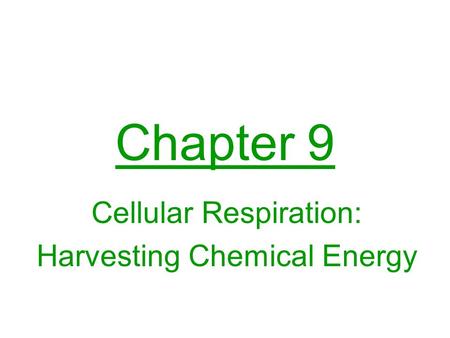 Chapter 9 Cellular Respiration: Harvesting Chemical Energy.