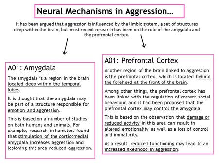 Neural Mechanisms in Aggression… It has been argued that aggression is influenced by the limbic system, a set of structures deep within the brain, but.