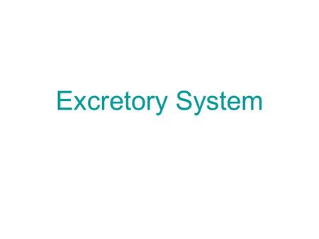 Excretory System. Excretory System: Poison Protection If you knew there was poison hidden in your house, you would surely do everything possible to find.