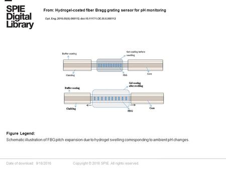 Date of download: 9/18/2016 Copyright © 2016 SPIE. All rights reserved. Schematic illustration of FBG pitch expansion due to hydrogel swelling corresponding.