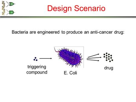 Bacteria are engineered to produce an anti-cancer drug: Design Scenario drug triggering compound E. Coli.