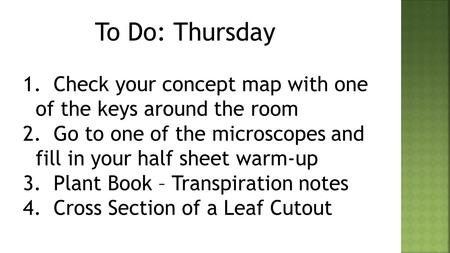 To Do: Thursday 1. Check your concept map with one of the keys around the room 2. Go to one of the microscopes and fill in your half sheet warm-up 3. Plant.