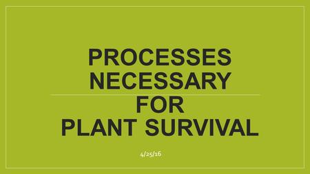 PROCESSES NECESSARY FOR PLANT SURVIVAL 4/25/16. I. PHOTOSYNTHESIS ❖ Photo: light (sun) ❖ Synthesis: to make or synthesize ❖ Plants make simple sugar (food)