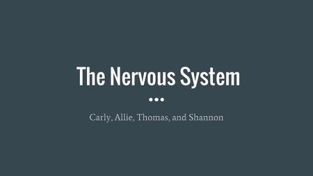 The Nervous System Carly, Allie, Thomas, and Shannon.