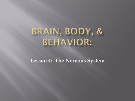 Lesson 4: The Nervous System. NERVOUS SYSTEM:  The system made up of the brain, spinal cord, and all the nerves of the body that regulates the body’s.