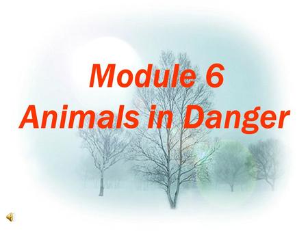 Module 6 Animals in Danger. Earth Song Why some animals are becoming extinct ? 1.They are killed for body parts or food. 2.People want them for pets.