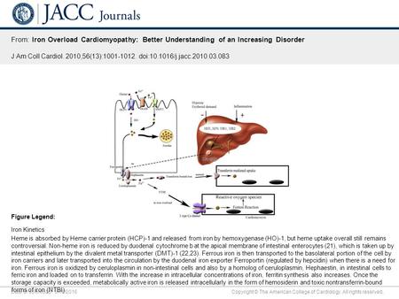 Date of download: 9/18/2016 Copyright © The American College of Cardiology. All rights reserved. From: Iron Overload Cardiomyopathy: Better Understanding.