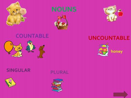 NOUNS COUNTABLE UNCOUNTABLE SINGULAR PLURAL honey.