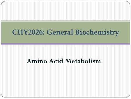 Amino Acid Metabolism CHY2026: General Biochemistry.