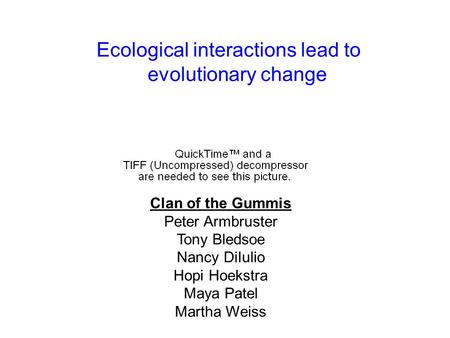 Ecological interactions lead to evolutionary change Clan of the Gummis Peter Armbruster Tony Bledsoe Nancy DiIulio Hopi Hoekstra Maya Patel Martha Weiss.