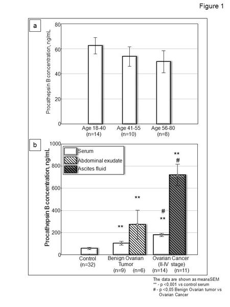 80 60 40 20 0 Procathepsin B concentration, ng/mL Age 18-40 (n=14) Age 41-55 (n=10) Age 56-80 (n=8) The data are shown as mean±SEM ** - p 