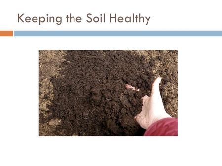 Keeping the Soil Healthy. What does a plant need to grow?  Sun  Water  Soil for food  Air  Just like you and me.