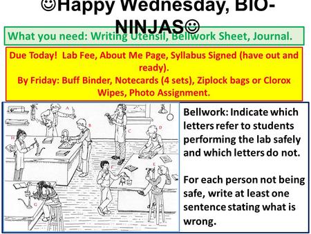 What you need: Writing Utensil, Bellwork Sheet, Journal. Due Today! Lab Fee, About Me Page, Syllabus Signed (have out and ready). By Friday: Buff Binder,