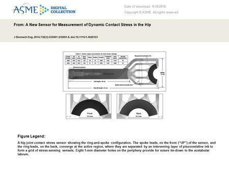 Date of download: 9/18/2016 Copyright © ASME. All rights reserved. From: A New Sensor for Measurement of Dynamic Contact Stress in the Hip J Biomech Eng.