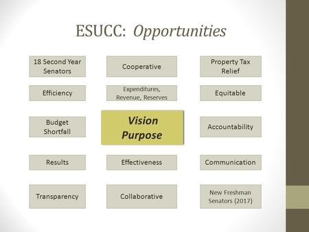 ESUCC: Opportunities 18 Second Year Senators Vision Purpose Vision Purpose New Freshman Senators (2017) Property Tax Relief Budget Shortfall Transparency.