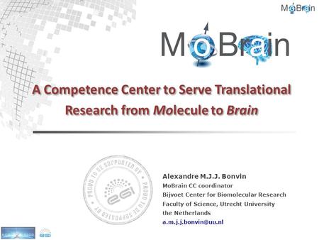 A Competence Center to Serve Translational Research from Molecule to Brain Alexandre M.J.J. Bonvin MoBrain CC coordinator Bijvoet Center for Biomolecular.