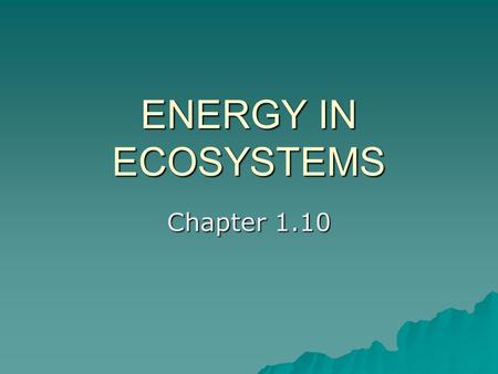 ENERGY IN ECOSYSTEMS Chapter 1.10. The sun is the source of all energy for the earth and its ecosystems. What happens to the suns energy? What is it used.