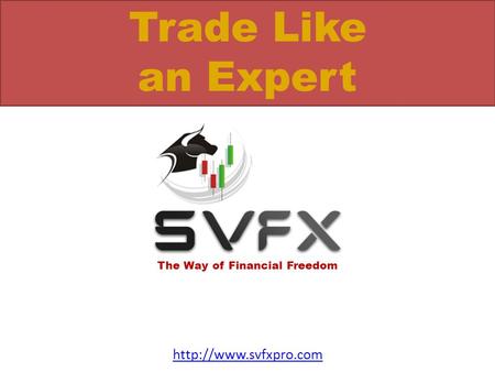 The Way of Financial Freedom Trade Like an Expert Trade Like an Expert.