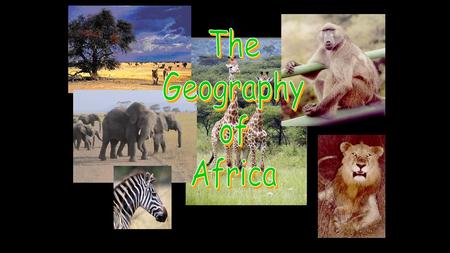 A Satellite View Africa’s Size # Second largest continent  11,700,000 sq. mi. # 10% of the world’s population. # 2 ½ times the size of the U. S. 5000MILES5000MILES.