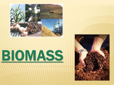 BIOMASS FORMATION The basic model of take up and accumulation of the solar power is the one that there carry out the plant green species the only energetic.