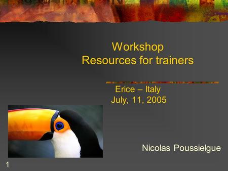 1 Workshop Resources for trainers Erice – Italy July, 11, 2005 Nicolas Poussielgue.