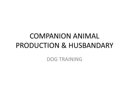 COMPANION ANIMAL PRODUCTION & HUSBANDARY DOG TRAINING.