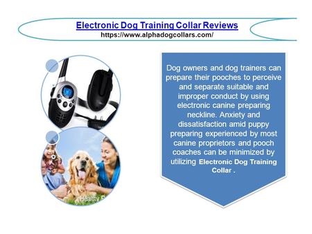 Electronic Dog Training Collar Reviews https://www.alphadogcollars.com/ Dog owners and dog trainers can prepare their pooches to perceive and separate.