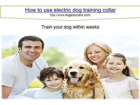 How to use electric dog training collar  Train your dog within weeks.