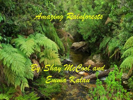 Amazing Rainforests By:Shay McCool and Emma Kalau.