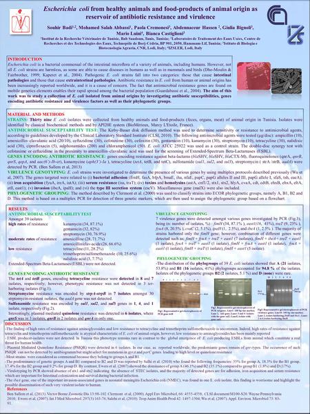 INTRODUCTION Escherichia coli is a bacterial commensal of the intestinal microﬂora of a variety of animals, including humans. However, not all E. coli.