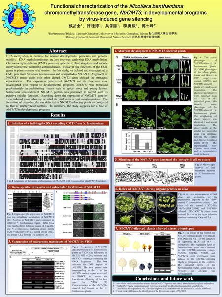 Functional characterization of the Nicotiana benthamiana chromomethyltransferase gene, NbCMT3, in developmental programs by virus-induced gene silencing.