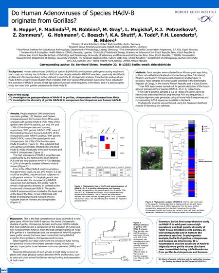 Do Human Adenoviruses of Species HAdV-B originate from Gorillas? E. Hoppe 1, F. Madinda 2,3, M. Robbins 3, M. Gray 4, L. Mugisha 5, K.J. Petrzelkova 6,