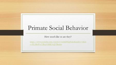 Primate Social Behavior How much like us are they? https://www.youtube.com/watch?v=eubDSQrFako&index=1&lis t=FL1BxWs1YRxy93HENnJUBmkw.