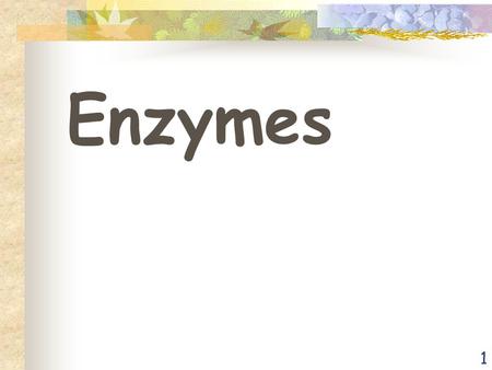 1 Enzymes. 2 What is Metabolism? sum total chemical activities cells The sum total of the chemical activities of all cells.