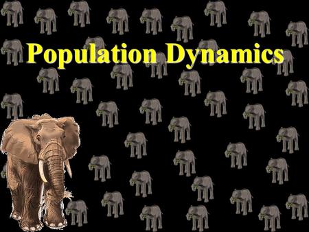 Population Dynamics Population Dynamics Characteristics of a Population Population - individuals inhabiting the same area at the same time Population.