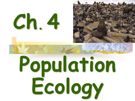 Ch. 4 Population Ecology. I.Population Dynamics - Biological processes constantly influence a population’s density, dispersion, and growth rate. Tent.