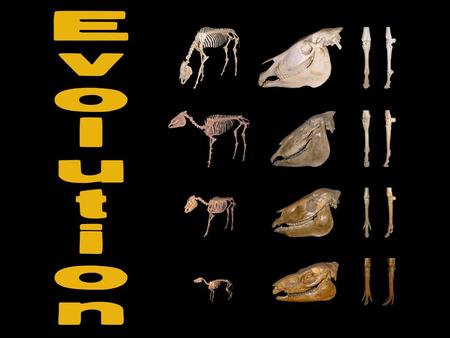 Define evolution.  Evolution — the changes in organisms over generations as a result of genomic variations..  An important aspect of this is NATURAL.