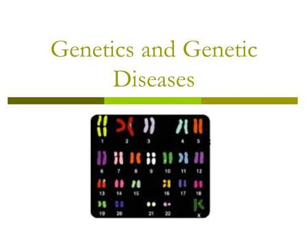 Genetics and Genetic Diseases. Genetics  Study of inheritance and human disease  1860’s – Gregor Mendel  Gene = DNA  RNA  Proteins (enzymes)  permit.