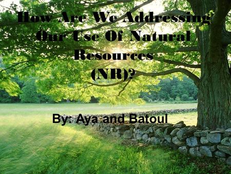 How Are We Addressing Our Use Of Natural Resources (NR)? By: Aya and Batoul.