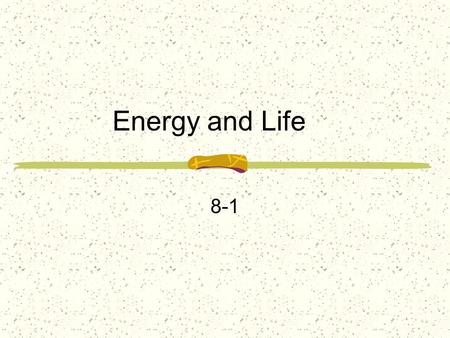 Energy and Life 8-1. Autotrophs & Heterotrophs Energy is the ability to do work Nearly every activity, and every organism depends on energy Energy that.