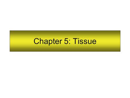 Chapter 5: Tissue. Types of Tissues A tissue is composed of specialized cells that perform a function in the body. The human body has four major types.