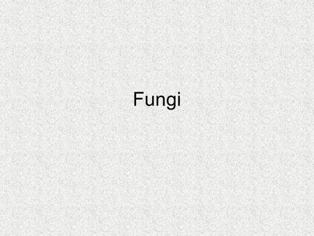 Fungi. Learning Objectives Define the terms: saprophytic & parasitic State the structure & life cycle of Rhizopus Explain nutrition in fungi. Outline.