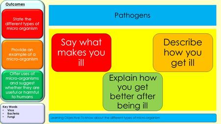 Provide an example of a micro-organism Offer uses of micro-organisms and suggest whether they are useful or harmful to humans Outcomes State the different.