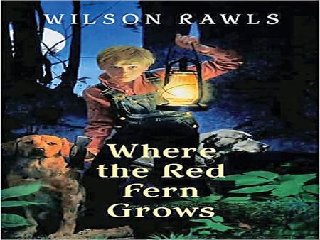 Main Characters Billy Colman: Narrator (tells the story),10 year old boy that loves to hunt. Old Dan and Little Ann: Billy’s coonhounds that hunt raccoons.