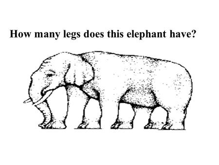 How many legs does this elephant have? Oceanography.