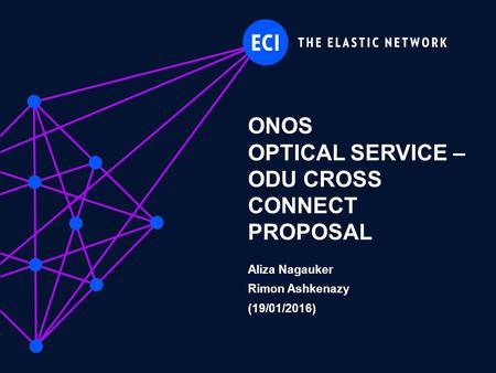 ONOS OPTICAL SERVICE – ODU CROSS CONNECT PROPOSAL Aliza Nagauker Rimon Ashkenazy (19/01/2016)