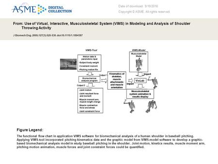 Date of download: 9/19/2016 Copyright © ASME. All rights reserved. From: Use of Virtual, Interactive, Musculoskeletal System (VIMS) in Modeling and Analysis.