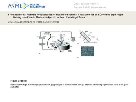 Date of download: 9/19/2016 Copyright © ASME. All rights reserved. From: Numerical Analysis for Elucidation of Nonlinear Frictional Characteristics of.