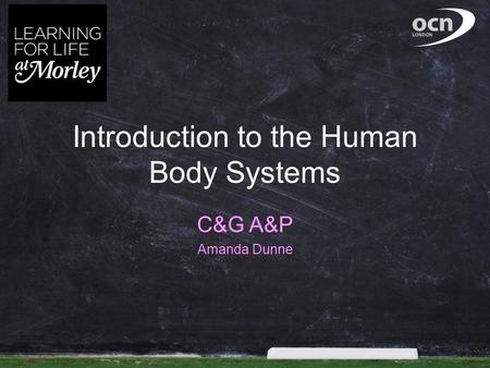 Introduction to the Human Body Systems C&G A&P Amanda Dunne.