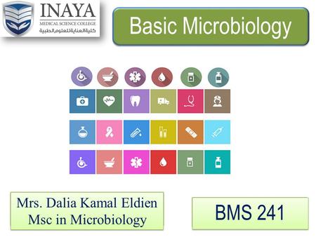 Basic Microbiology BMS 241 Mrs. Dalia Kamal Eldien Msc in Microbiology Mrs. Dalia Kamal Eldien Msc in Microbiology.